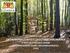 Ochrona lasów Trójmiejskiego Parku Krajobrazowego (TPK) poprzez: 2) stworzenie nowych miejsc rekreacji i wypoczynku na styku terenów