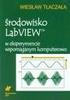 Podstawy programowania w środowisku LabVIEW, projekt oscyloskopu cyfrowego