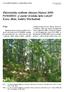 Zbiorowiska roślinne obszaru Natura 2000 PLH Czarne Urwisko koło Lutyni (Góry Złote, Sudety Wschodnie)