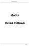 Moduł. Belka stalowa