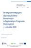 Strategia Inwestycyjna dla instrumentów finansowych w Regionalnym Programie Operacyjnym Lubuskie 2020