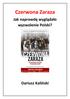 Czerwona Zaraza. Jak naprawdę wyglądało wyzwolenie Polski? Dariusz Kaliński