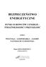 RYNKI SUROWCÖWIENERGII - TOMI POLITYKA - GOSPODARKA - ZASOBY NATURALNE I LOGISTYKA. Piotr KWIATKIEWICZ (redakcja naukowa)