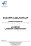 EGZAMIN CZELADNICZY. INFORMATOR EGZAMINACYJNY dla kandydatów przystępujących do egzaminu czeladniczego LAKIERNIK LAKIERNIK SAMOCHODOWY