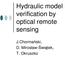 Hydraulic model verification by optical remote sensing. J.Chormaski, D. Mirosław-witek, T. Okruszko