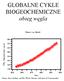 GLOBALNE CYKLE BIOGEOCHEMICZNE obieg węgla