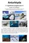 Antarktyda. 4 - tygodniowa przygoda życia!!! luty rejs i nurkowanie