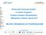 Rozliczenie finansowe działań w ramach Programu Fundusz Inicjatyw Obywatelskich Małopolska Lokalnie, edycja 2017 MŁODE ORGANIZACJE POZARZĄDOWE