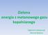 Zielona energia z metanowego gazu kopalnianego. Zygmunt Łukaszczyk Henryk Badura