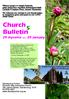 Church. Bulletin 29 stycznia January