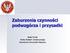 Zaburzenia czynności podwzgórza i przysadki. Beata Pyrżak Klinika Pediatrii i Endokrynologii Warszawski Uniwersytet Medyczny