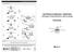 INSTRUKCJA OBSŁUGI I MONTAŻU sufitowego lampowentylatora dekoracyjnego CF525C3L. M x 1 N x Lampowentylator dekoracyjny sufitowy