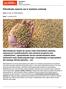 Pełnotłuste nasiona soi w żywieniu zwierząt
