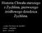 Historia Chwała starszego z Żychlina, pierwszego źródłowego dziedzica Żychlina. comes Fal heres de Sychlin. comes - zadządca heres - dziedzic