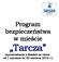 Program bezpieczeństwa w mieście Tarcza (sprawozdanie z działań za okres od 1 stycznia do 30 czerwca 2016 r.)