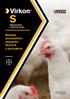 Niezawodna ochrona fermy Badanie pozostałości preparatu Virkon S u kurczaków