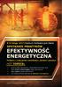 EFEKTYWNOŚĆ ENERGETYCZNA