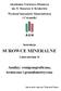 Akademia Górniczo-Hutnicza im. S. Staszica w Krakowie Wydział Inżynierii Materiałowej i Ceramiki. Instrukcja SUROWCE MINERALNE.