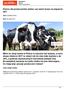 Pomoc dla producentów mleka: czy warto liczyć na wsparcie UE?