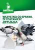 WSZYSTKO, CO SPRAWI, ŻE ZOSTANIESZ ZWYCIĘZCĄ PRZEGLĄD ASORTYMENTU