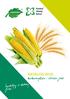 Inwestuj w dobry plon! katalog kukurydza i zboża jare