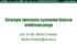 Strategie tworzenia systemów biznesu elektronicznego. prof. dr hab. Witold Chmielarz