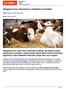Zaleganie krów mlecznych a niedobory mineralne