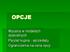 OPCJE. Wycena w modelach dyskretnych Parytet kupna - sprzedaży Ograniczenia na cenę opcji