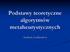 Podstawy teoretyczne algorytmów metaheurystycznych. Andrzej Jaszkiewicz