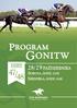 PROGRAM ROGRAM GONITW ONITW DZIEŃ 28/ 28/ 29 PA P ŹDZIERNIKA AŹDZIERNIK 47 SOBOTA, GODZ. 12:00 OT /48 NIEDZIELA, GODZ. 11:00