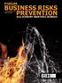 BUSINESS RISKS PREVENTION