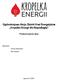 Ogólnokrajowa Akcja Zbiórki Krwi Energetyków Kropelka Energii dla Niepodległej