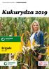 KATALOG ODMIAN KUKURYDZY W GRUNCIE NAJLEPSZE Kukurydza 2019