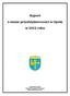 Raport o stanie przedsiębiorczości w mieście Opolu w 2012 roku Wydział Gospodarki i Innowacji Strona 2 z 30