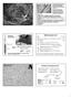 Białka: albuminy, globuliny α, β, γ (immunoglobuliny), fibrynogen 7 8% jony (Na +, K +, Ca 2+, Mg 2+, Cl -, HCO 3-, PO 4