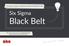Black Belt. Six Sigma. 20-dniowy program szkoleniowy Akademii Białego Kruka