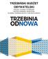 TRZEBIŃSKI BUDŻET OBYWATELSKI PROJEKT UCHWAŁY W SPRAWIE PRZYGOTOWNANIA I WDROŻENIA W GMINIE TRZEBINIA BUDŻETU OBYWATELSKIEGO