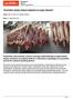 Technika uboju mięsa wpływa na jego jakość!
