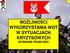 MOŻLIWOŚCI WYKORZYSTANIA WOT W SYTUACJACH KRYZYSOWYCH /WYBRANE PROBLEMY/