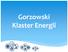 Gorzowski Klaster Energii