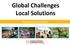 Global Challenges Local Solutions. Wprowadzenie do projektu