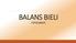 BALANS BIELI FOTOCAM.PL