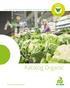 Nasiona warzyw do profesionalnej uprawy, dostępne jako nasiona organiczne i niezaprawiane. Katalog Organic. Sharing a healthy future