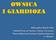 OWSICA I GIARDIOZA. Aleksandra Wasilewska. Oddział Promocji Zdrowia i Oświaty Zdrowotnej Wojewódzkiej Stacji Sanitarno-Epidemiologicznej w Olsztynie