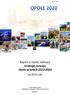 Raport o stanie realizacji Strategii rozwoju Opola w latach za 2015 rok
