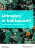 Utknąłeś w kaktusach? Tych sześć godzin może uratować Twój biznes