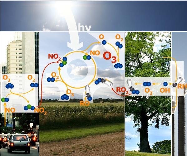 Rysunek 1 Cykl powstawania ozonu troposferycznego Źródło: Encyklopedia Klimatologiczna ESPERE Powyżej zaprezentowano cykl tworzenia ozonu. Proces zaczyna się na terenach wiejskich wokół miast.