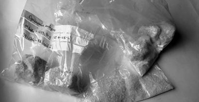 oceny ryzyka zagrożeń dla zdrowia lub życia ludzi związanych z używaniem nowych substancji psychoaktywnych przy Ministrze Zdrowia zbiera i analizuje dane w tym zakresie, opierając się na publikacjach
