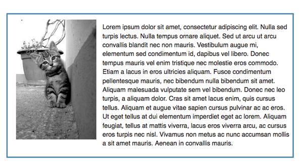 Następnie wykorzystaj parametry float i margin do rozmieszczenia elementów <nav> i <article class= content > obok siebie. Ustaw kolory dla nagłówka oraz menu nawigacyjnego strony.