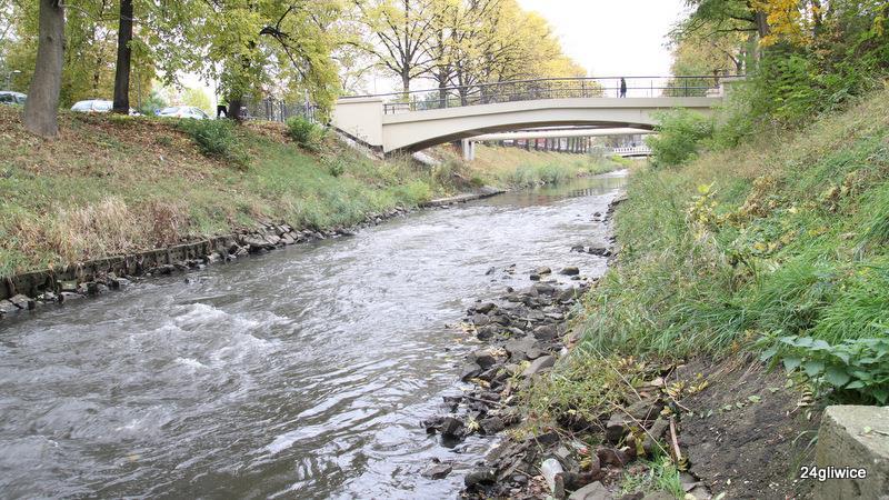 Rzeka Kłodnica stan